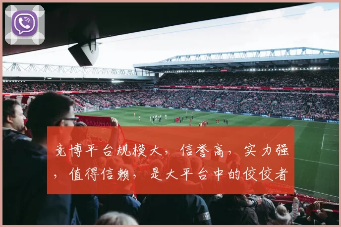 竞博平台规模大，信誉高，实力强，值得信赖，是大平台中的佼佼者，不容忽视。