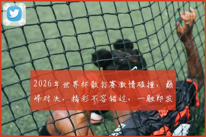 2026年世界杯散打赛激情碰撞，巅峰对决，精彩不容错过，一触即发